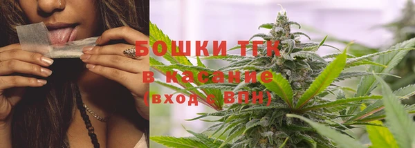 гидра Богданович