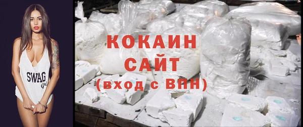 индика Богородицк