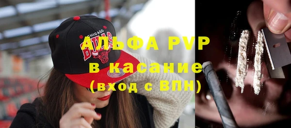 индика Богородицк