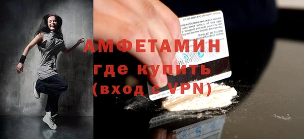 индика Богородицк
