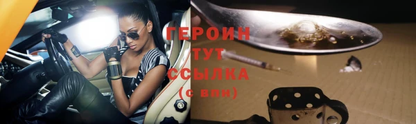 гидра Богданович