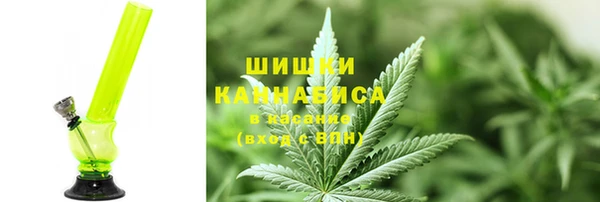 стафф Богородск
