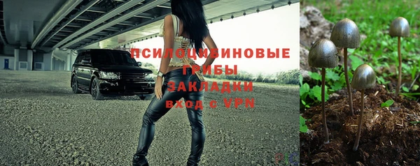 гидра Богданович