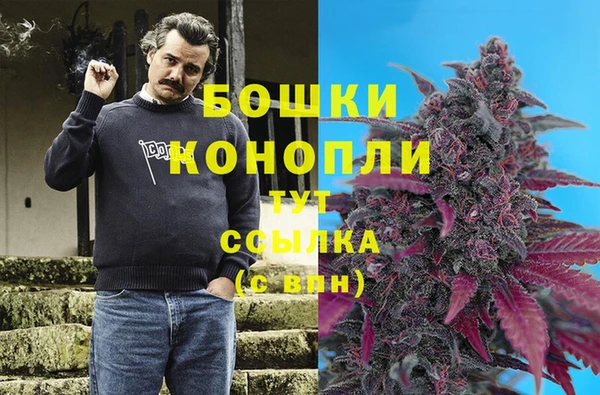 гидра Богданович