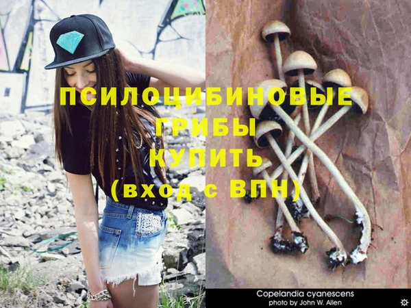 индика Белоозёрский