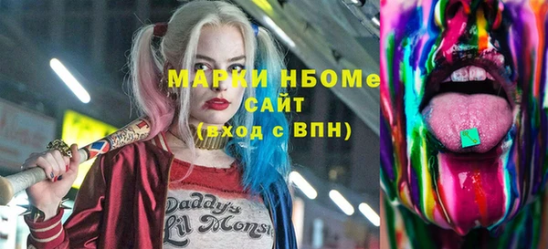 индика Богородицк