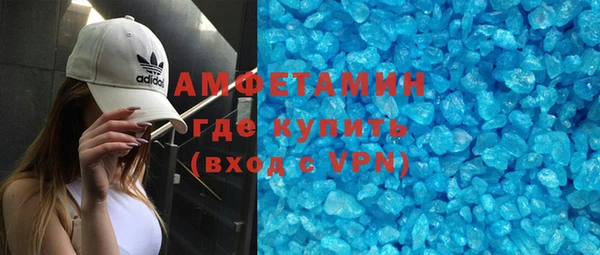 индика Богородицк