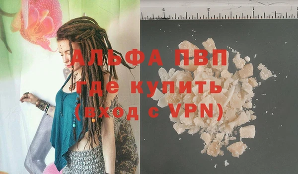 индика Богородицк