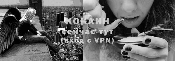 индика Богородицк