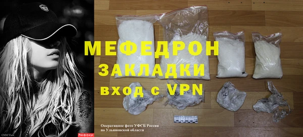 индика Богородицк