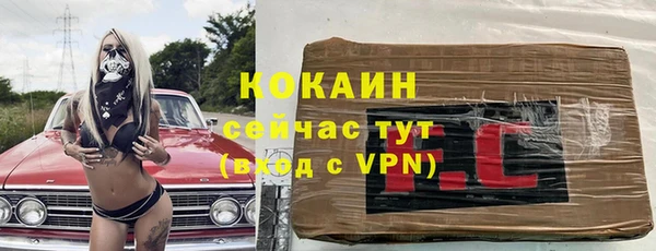 гидра Богданович