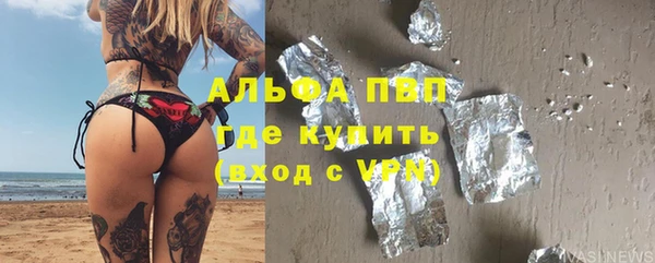 индика Богородицк