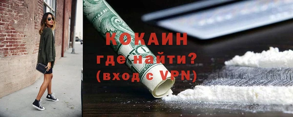 гидра Богданович