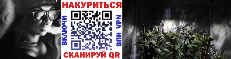 Канабис план  блэк спрут ССЫЛКА  Нелидово  купить закладку 